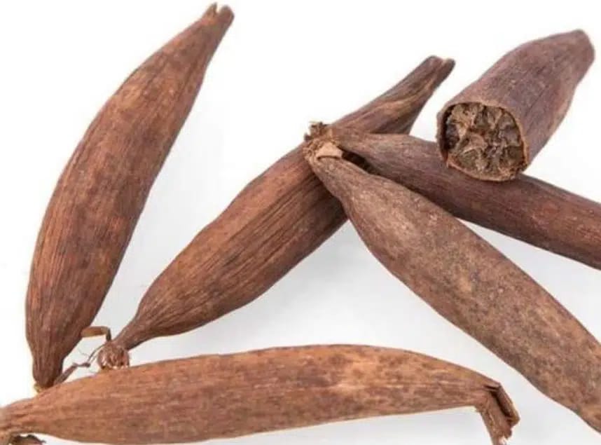 Jujube de paix jujube sucré djimdjim 8 pièces