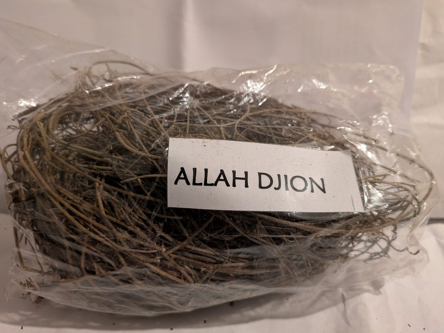 PLANTE ALLAH DJION